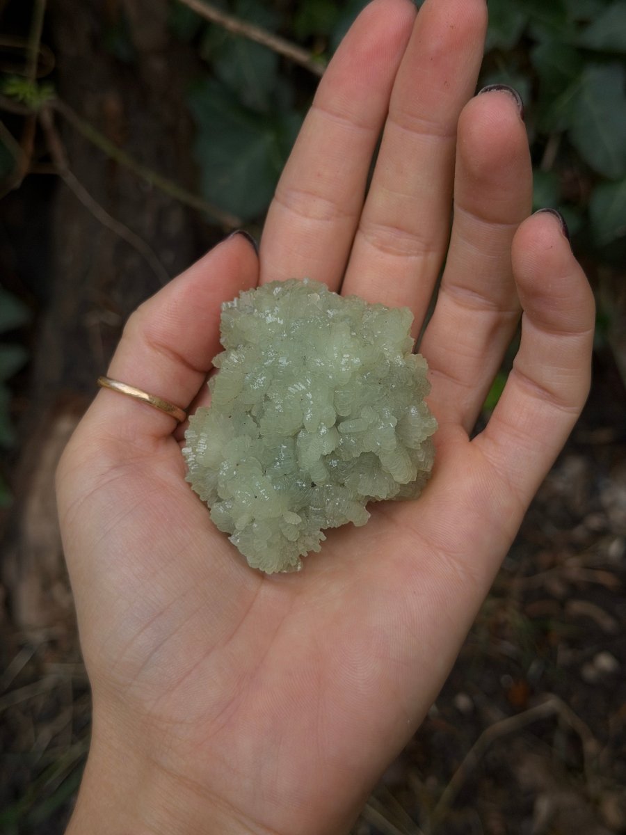 Raw Prehnite, Morocco, N PrehniteMorocco- Haus of Moss and Moon