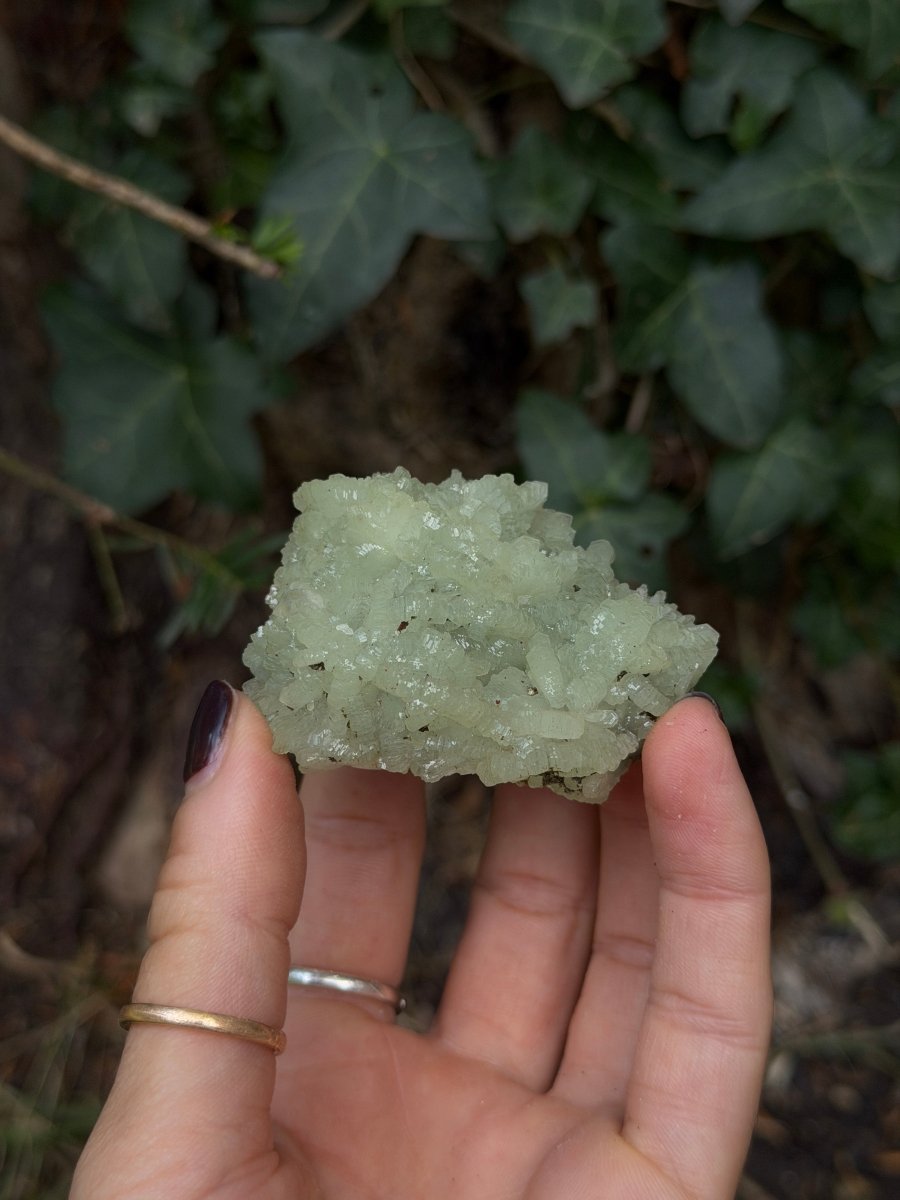 Raw Prehnite, Morocco, N PrehniteMorocco- Haus of Moss and Moon