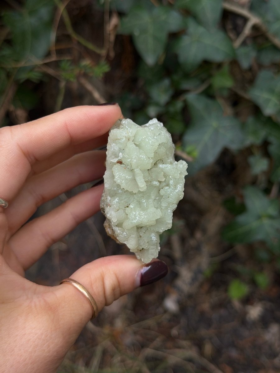 Raw Prehnite, Morocco, P PrehniteMorocco- Haus of Moss and Moon