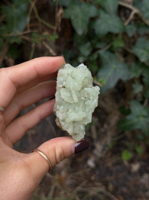 Raw Prehnite, Morocco, P PrehniteMorocco- Haus of Moss and Moon