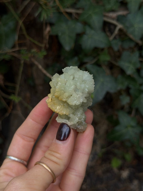 Raw Prehnite, Morocco, Q PrehniteMorocco- Haus of Moss and Moon