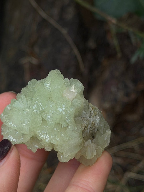 Raw Prehnite, Morocco, R PrehniteMorocco- Haus of Moss and Moon