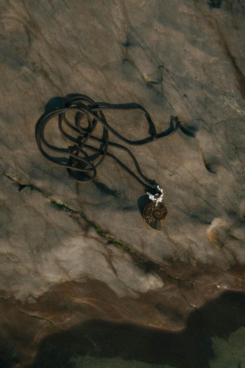 SEDNA Ammonite Choker | palmworks x hom+m JewelleryHaus of Moss + Moon- Haus of Moss and Moon
