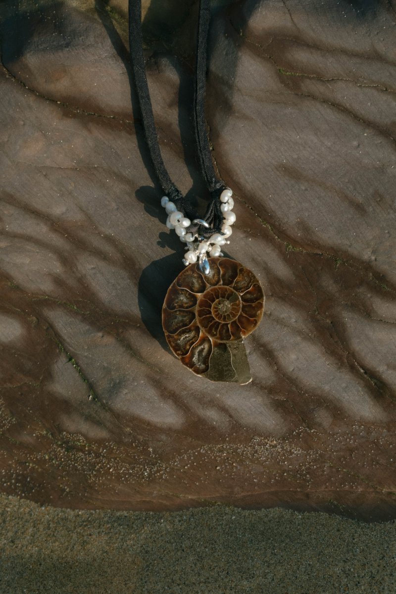 SEDNA Ammonite Choker | palmworks x hom+m JewelleryHaus of Moss + Moon- Haus of Moss and Moon