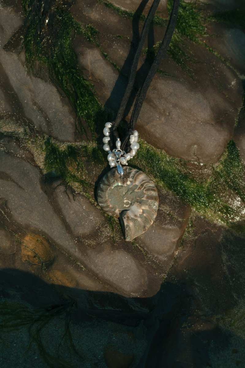SEDNA Ammonite Choker | palmworks x hom+m JewelleryHaus of Moss + Moon- Haus of Moss and Moon
