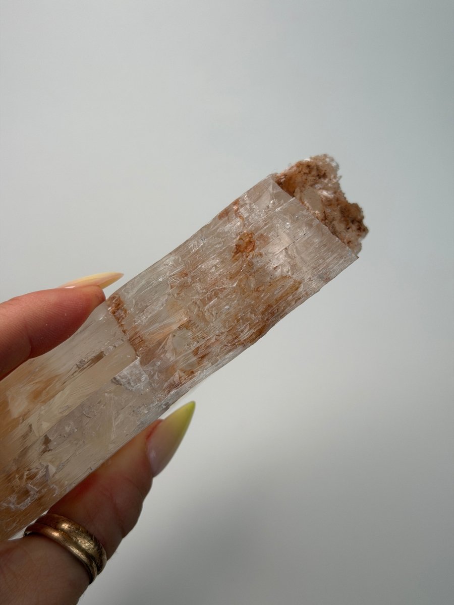 Selenite, Morocco, H Selenite Morocco - Haus of Moss + Moon