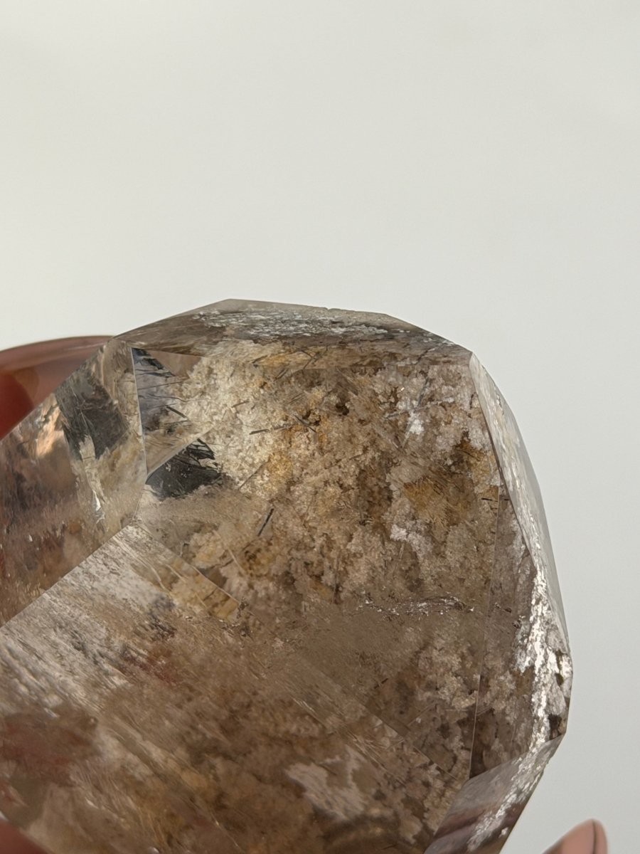 Smoky Garden Quartz Point, Lodalite Inclusions, Brazil Smoky QuartzBrazil - Haus of Moss + Moon