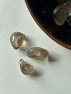 Smoky Quartz Tumble Stone Tumble StonesBrazil - Haus of Moss + Moon