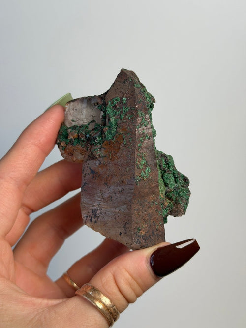Smoky Quartz with Brochantite, Morocco Smoky Quartz Morocco - Haus of Moss + Moon