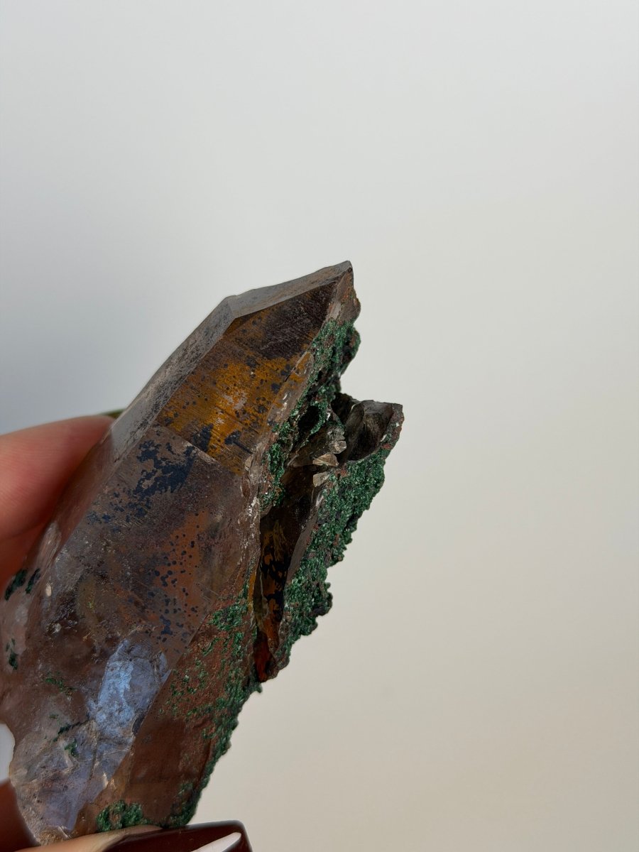 Smoky Quartz with Brochantite, Morocco Smoky Quartz Morocco - Haus of Moss + Moon