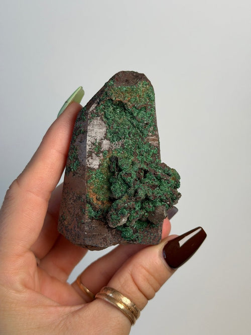 Smoky Quartz with Brochantite, Morocco Smoky Quartz Morocco - Haus of Moss + Moon