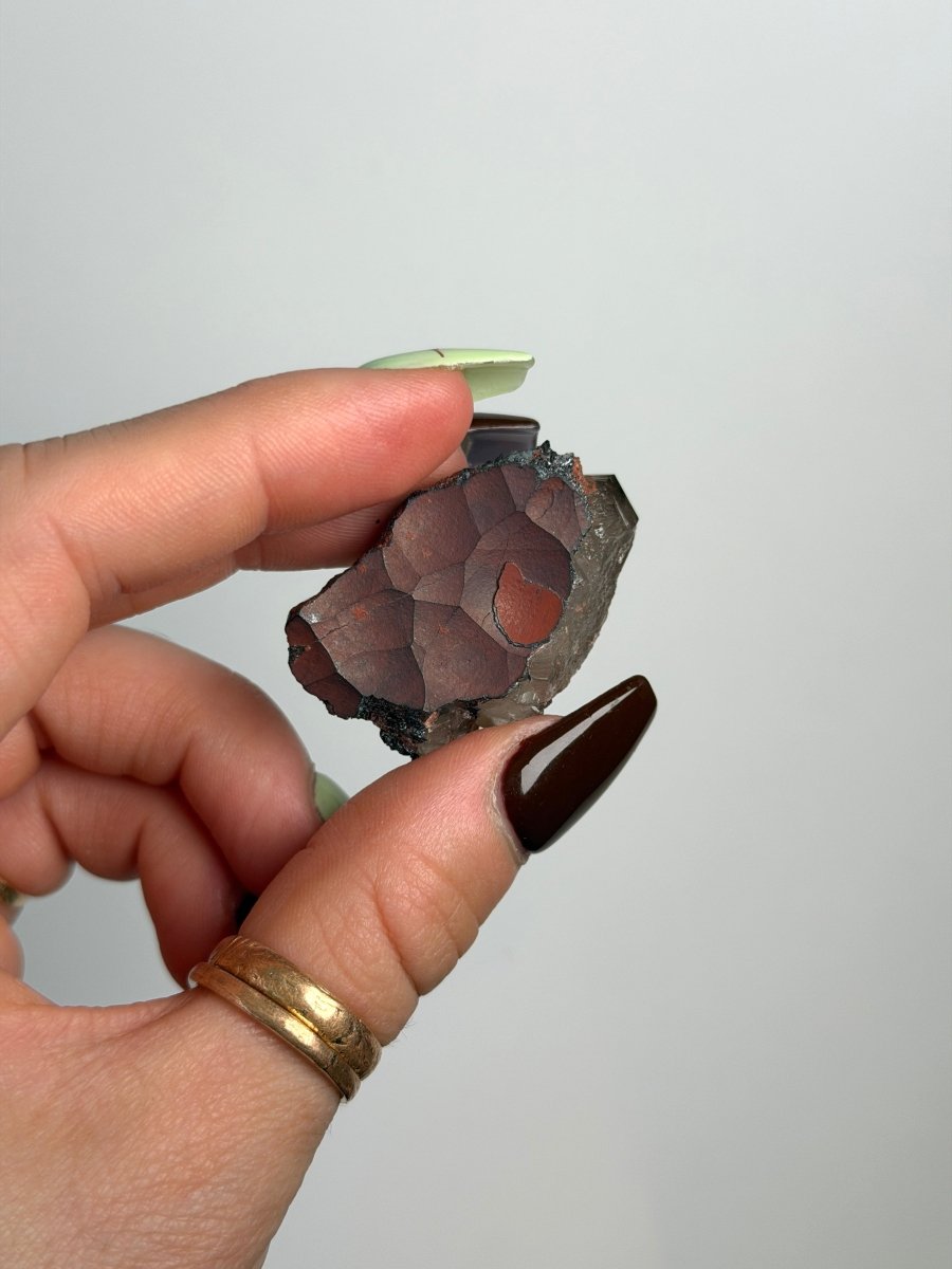 Specularite and Smoky Quartz on Hematite, Cumbria Specular Hematite Quartz Cumbria - Haus of Moss + Moon