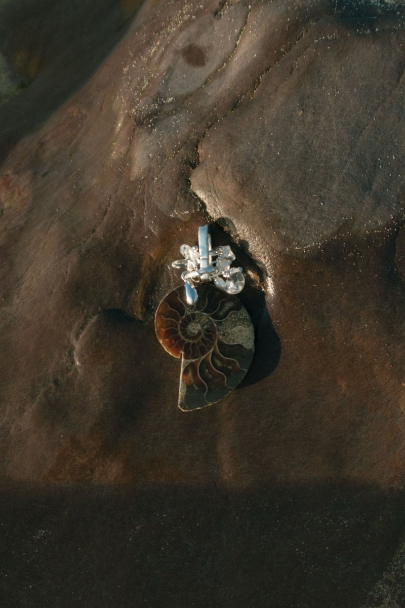 THALASSA Ammonite Trinket Charm | palmworks x hom+m JewelleryHaus of Moss + Moon- Haus of Moss and Moon