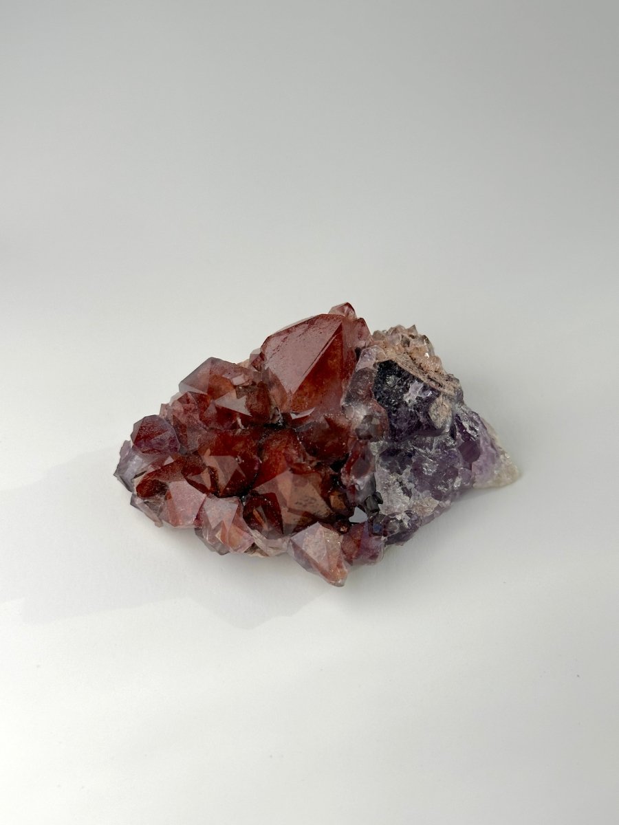 Thunder Bay Amethyst, F AmethystCanada - Haus of Moss + Moon