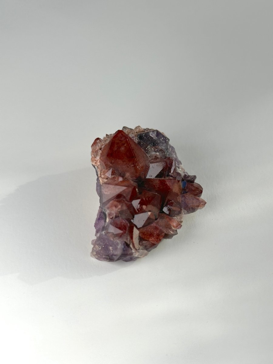 Thunder Bay Amethyst, F AmethystCanada - Haus of Moss + Moon