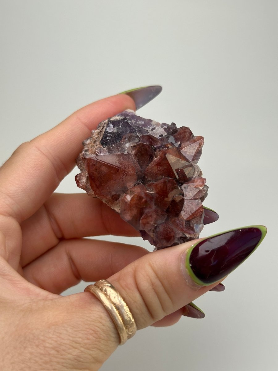 Thunder Bay Amethyst, F AmethystCanada - Haus of Moss + Moon