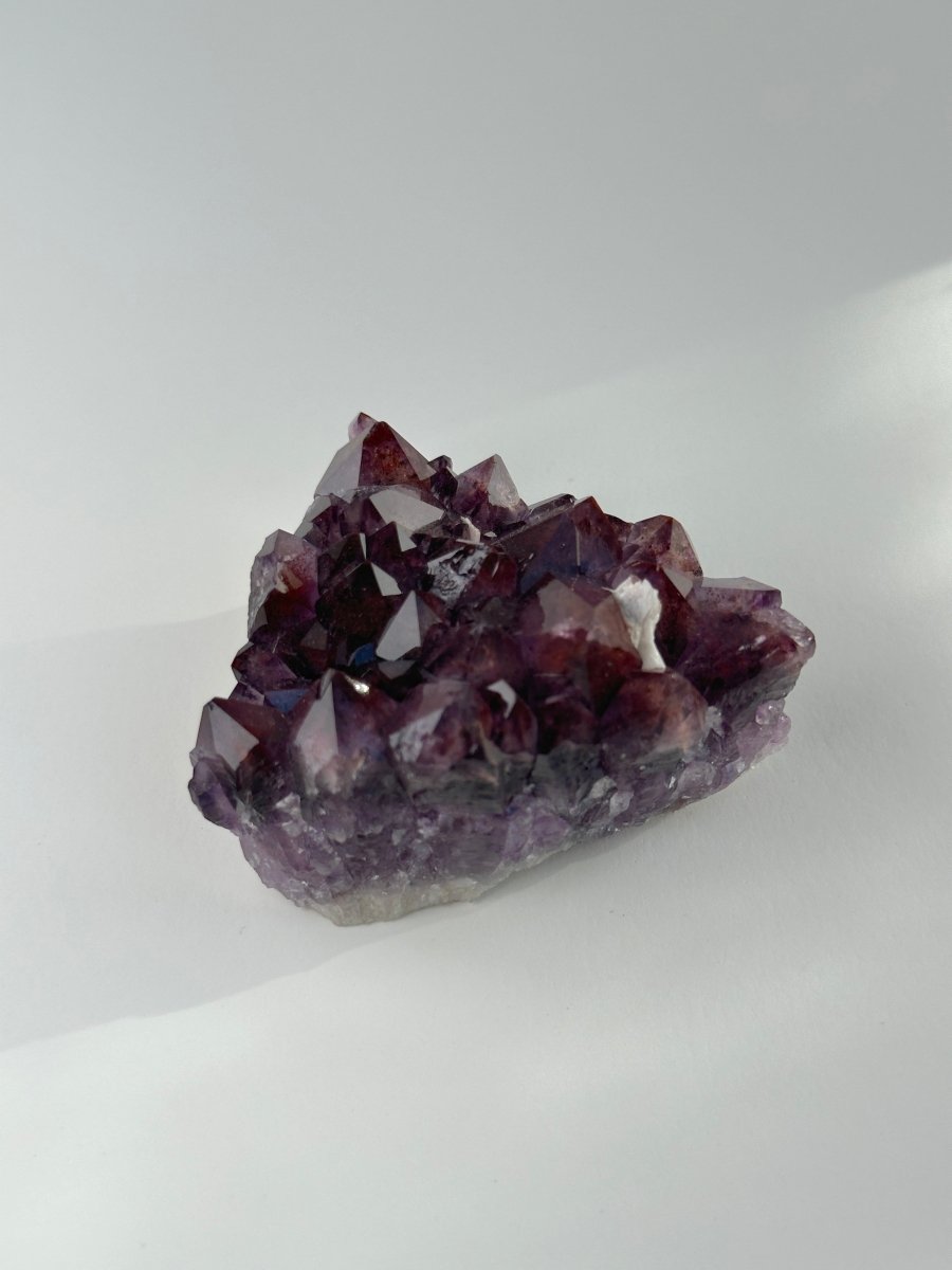 Thunder Bay Amethyst, G AmethystCanada - Haus of Moss + Moon
