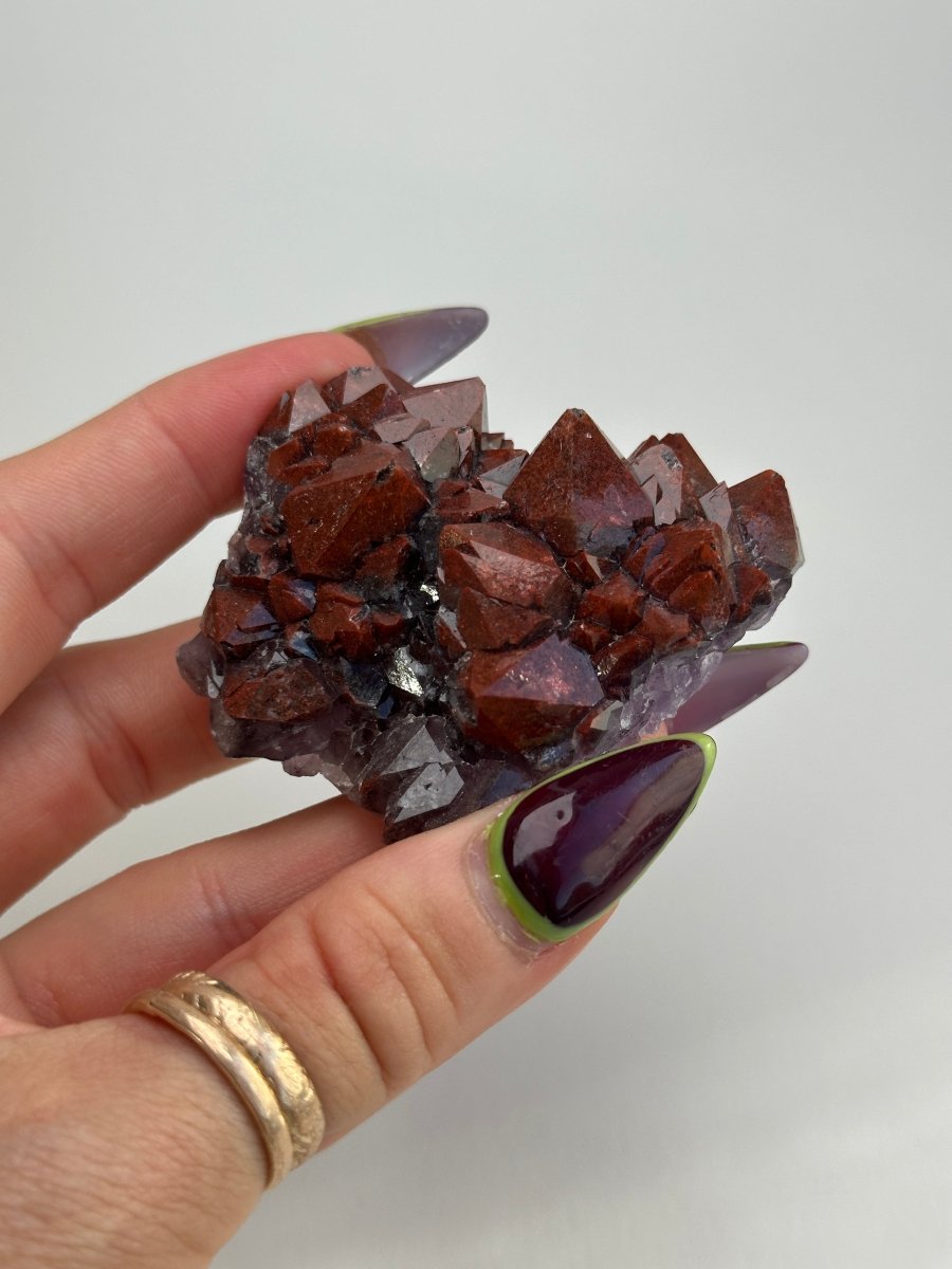 Thunder Bay Amethyst, H AmethystCanada - Haus of Moss + Moon