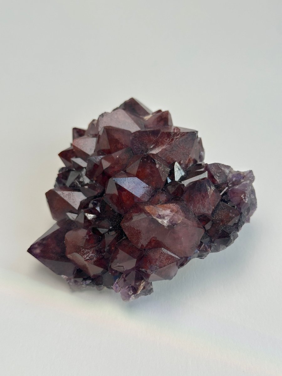 Thunder Bay Amethyst, M AmethystCanada - Haus of Moss + Moon