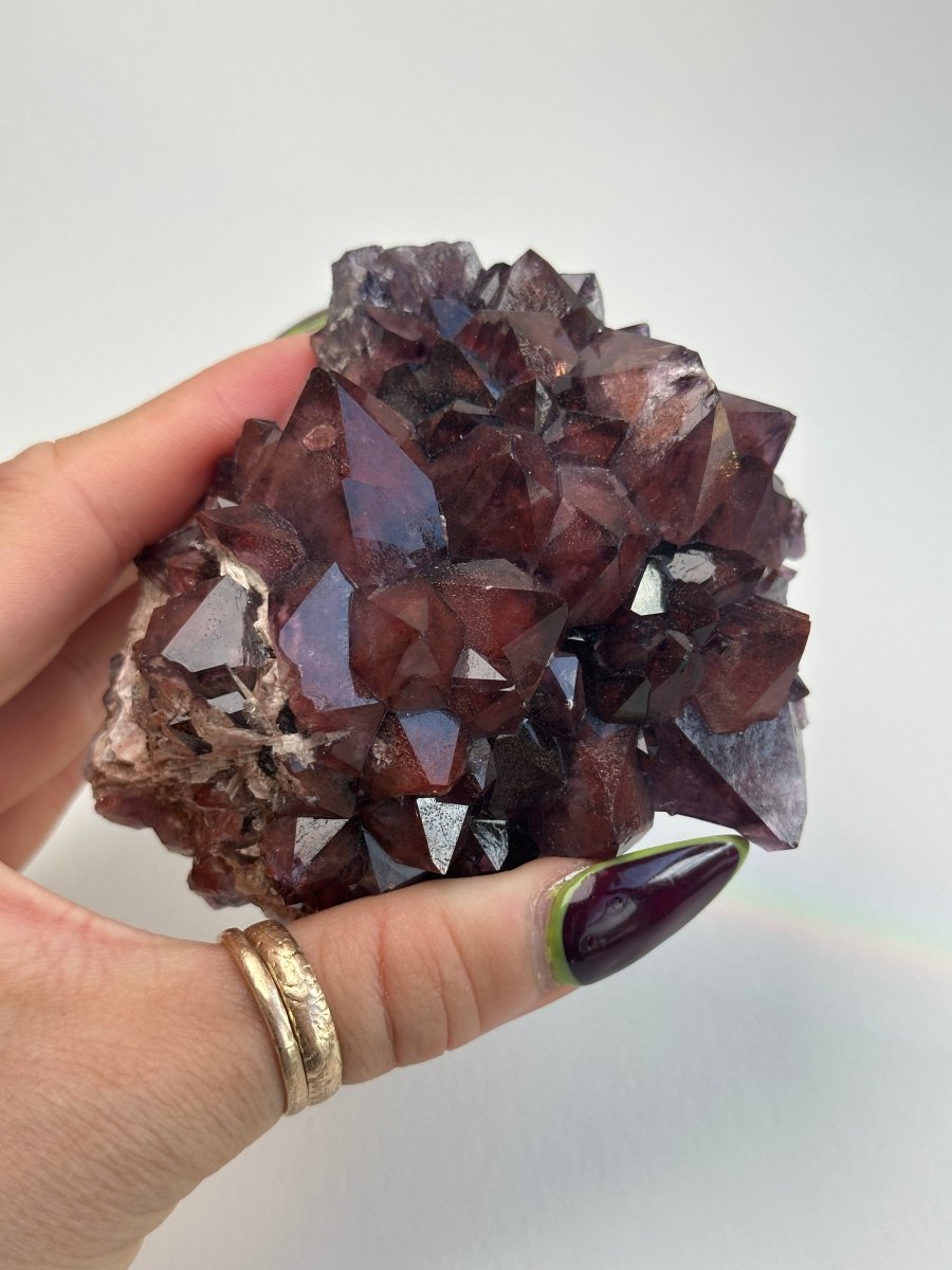 Thunder Bay Amethyst, M AmethystCanada - Haus of Moss + Moon