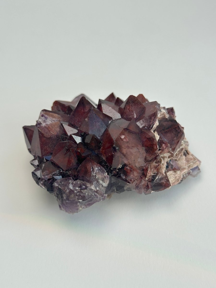 Thunder Bay Amethyst, M AmethystCanada - Haus of Moss + Moon