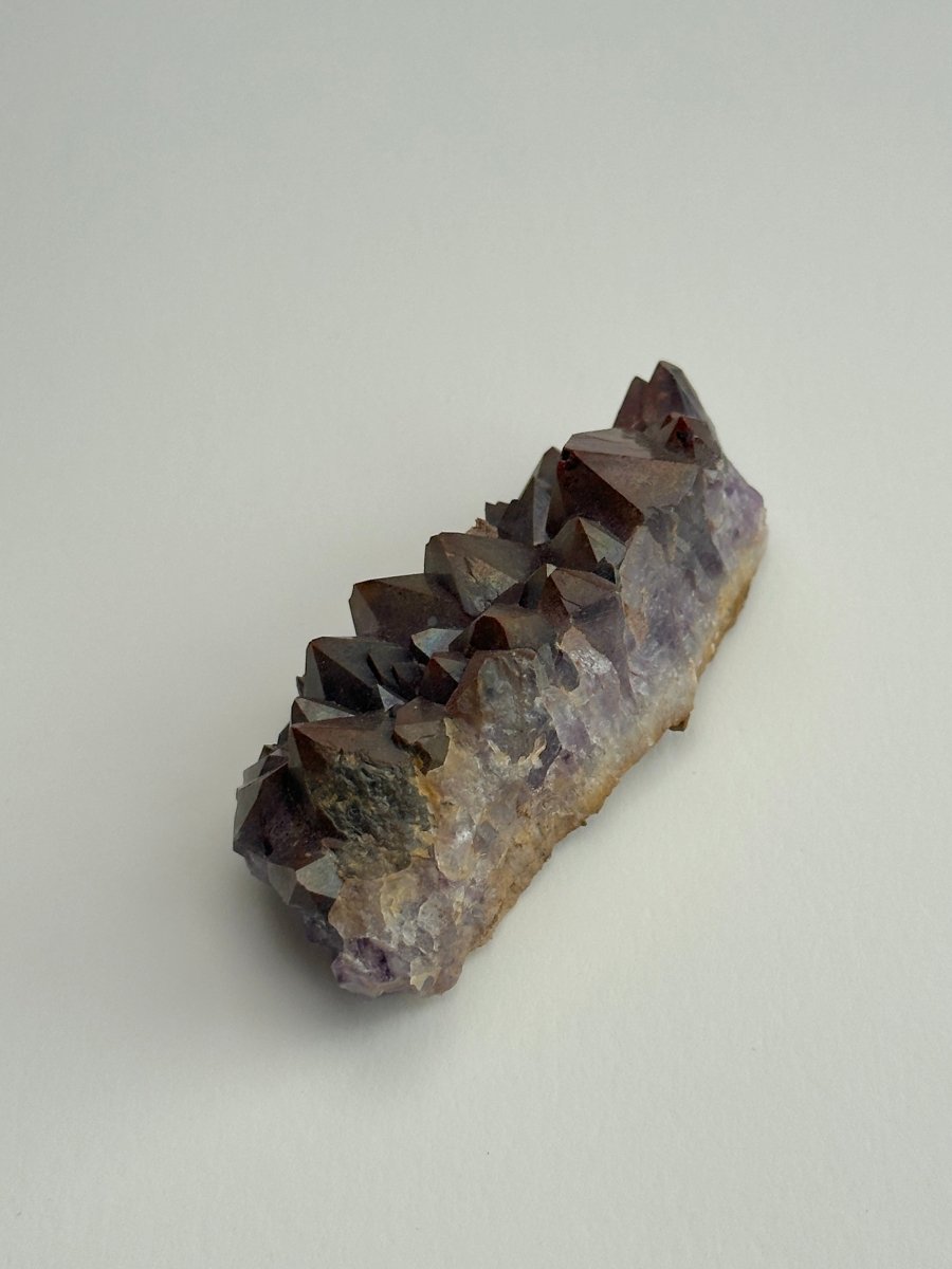 Thunder Bay Amethyst, E AmethystCanada - Haus of Moss + Moon