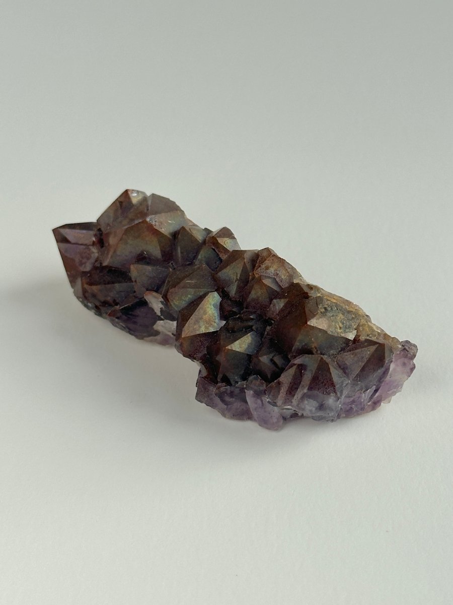 Thunder Bay Amethyst, E AmethystCanada - Haus of Moss + Moon