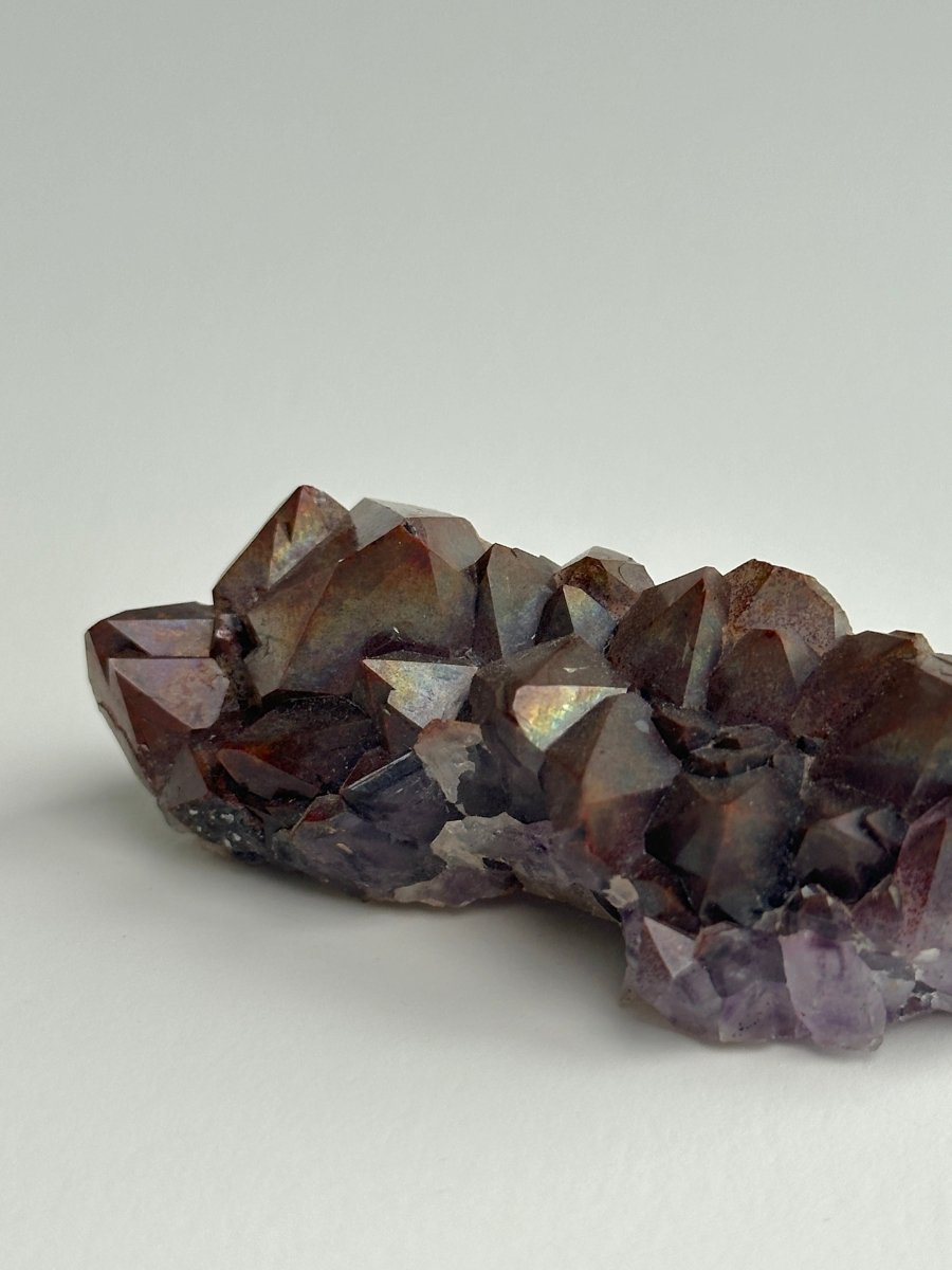 Thunder Bay Amethyst, E AmethystCanada - Haus of Moss + Moon