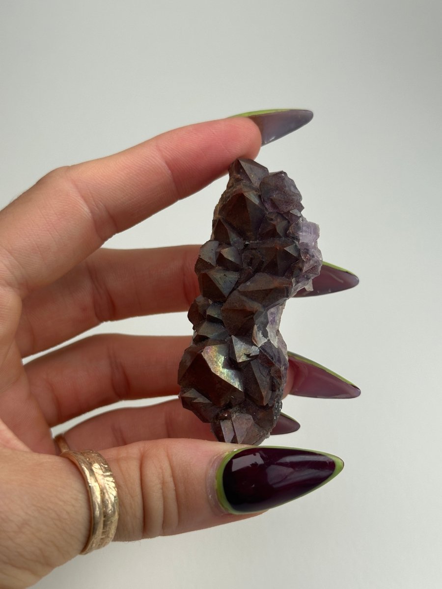 Thunder Bay Amethyst, E AmethystCanada - Haus of Moss + Moon