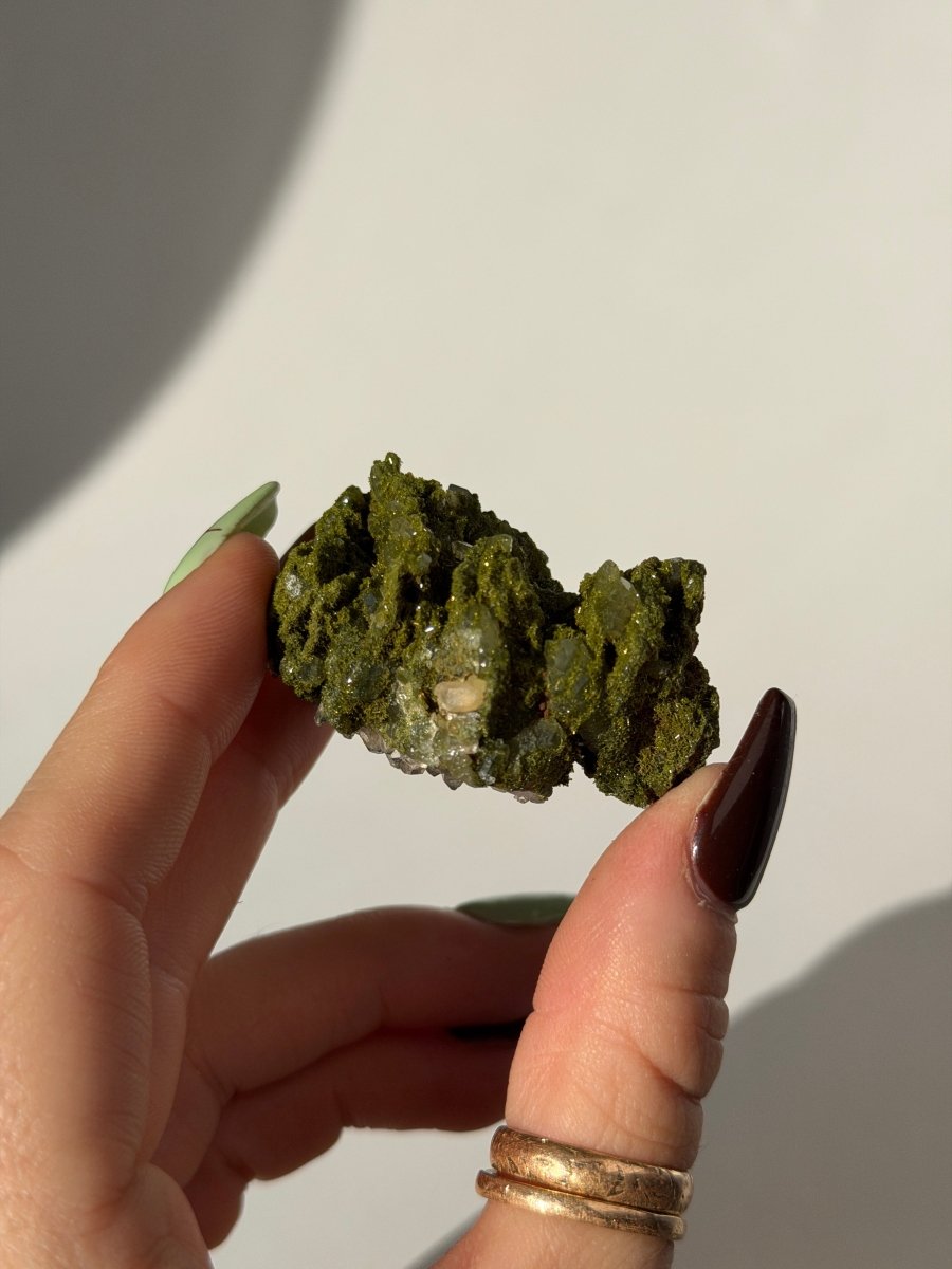 Turkish Forest Epidote and Quartz, G7 Epidote QuartzTurkey - Haus of Moss + Moon