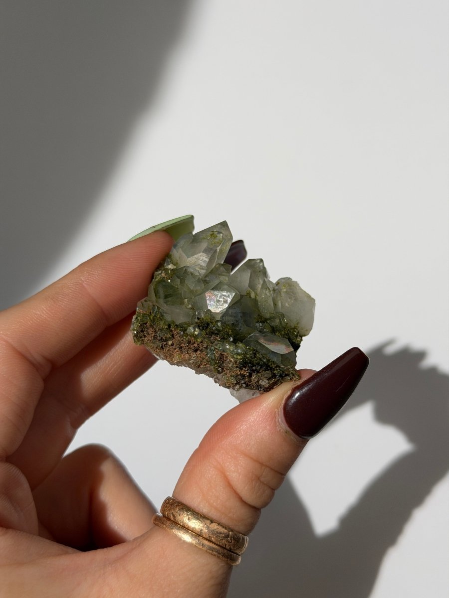 Turkish Forest Epidote and Quartz, W Epidote QuartzTurkey - Haus of Moss + Moon