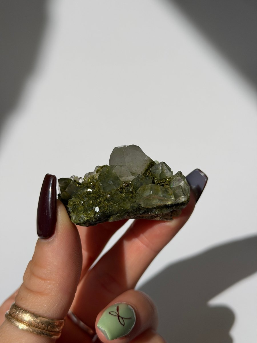 Turkish Forest Epidote and Quartz, X Epidote QuartzTurkey - Haus of Moss + Moon