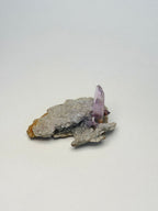 Vera Cruz Amethyst DT Point on Matrix, R AmethystMexico - Haus of Moss + Moon