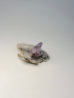Vera Cruz Amethyst DT Point on Matrix, R AmethystMexico - Haus of Moss + Moon