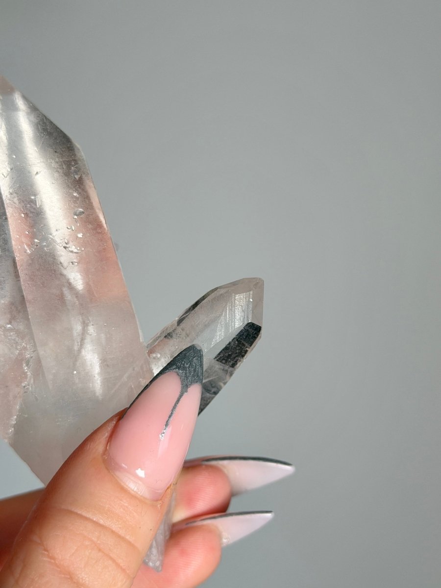 Window Clear Quartz Cluster, Madagascar, 90's Collection, N Clear QuartzMadagascar - Haus of Moss + Moon