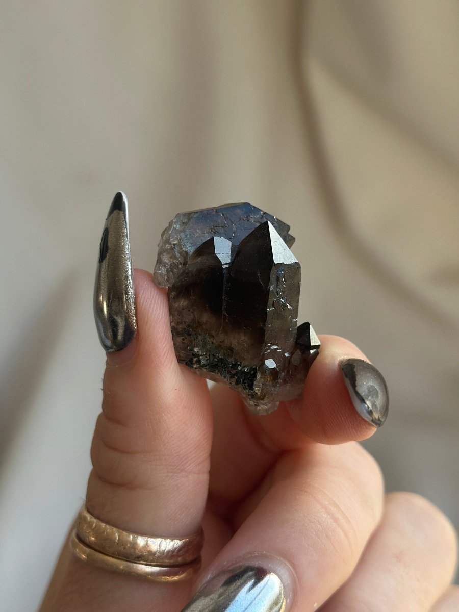 Zomba Smoky Quartz Cluster with Aegerine, Malawi, J Smoky QuartzSouth Africa - Haus of Moss + Moon