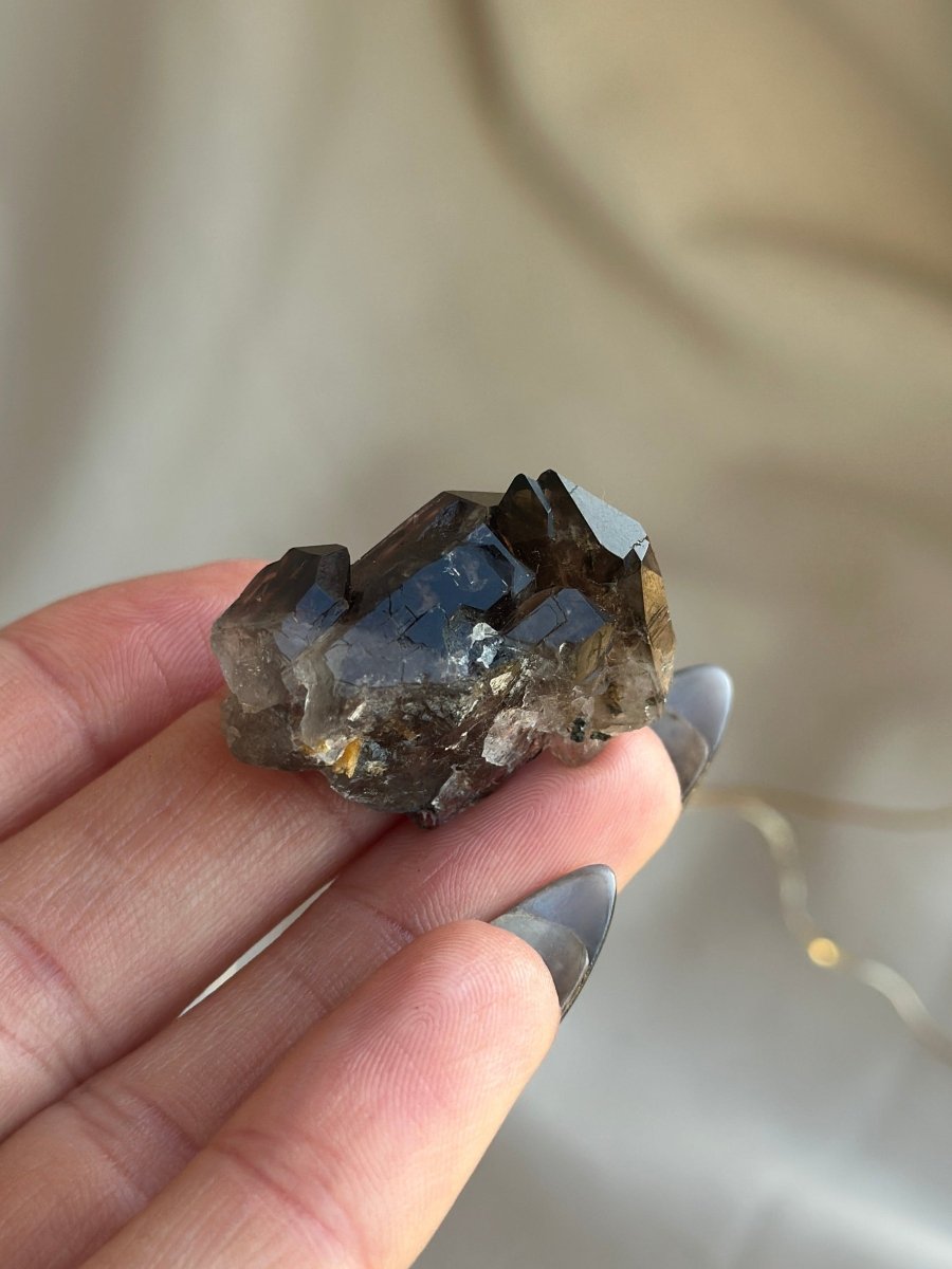 Zomba Smoky Quartz Cluster with Aegerine, Malawi, J Smoky QuartzSouth Africa - Haus of Moss + Moon