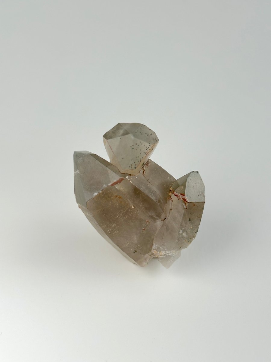 Zomba Smoky Quartz, Malawi, A Smoky QuartzSouth Africa - Haus of Moss + Moon