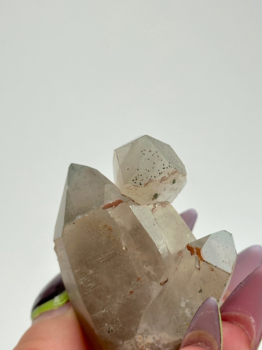 Zomba Smoky Quartz, Malawi, A Smoky QuartzSouth Africa - Haus of Moss + Moon