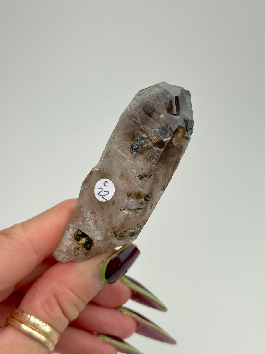 Zomba Smoky Quartz, Malawi, C Smoky QuartzSouth Africa - Haus of Moss + Moon