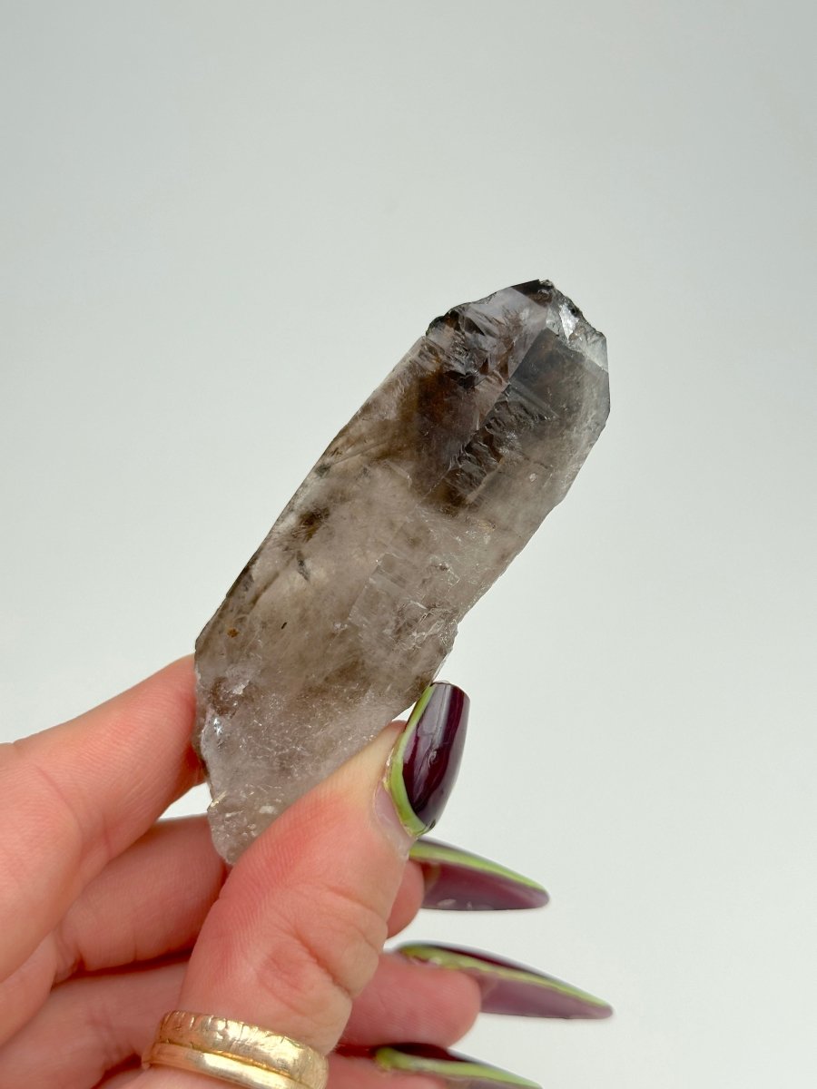Zomba Smoky Quartz, Malawi, C Smoky QuartzSouth Africa - Haus of Moss + Moon