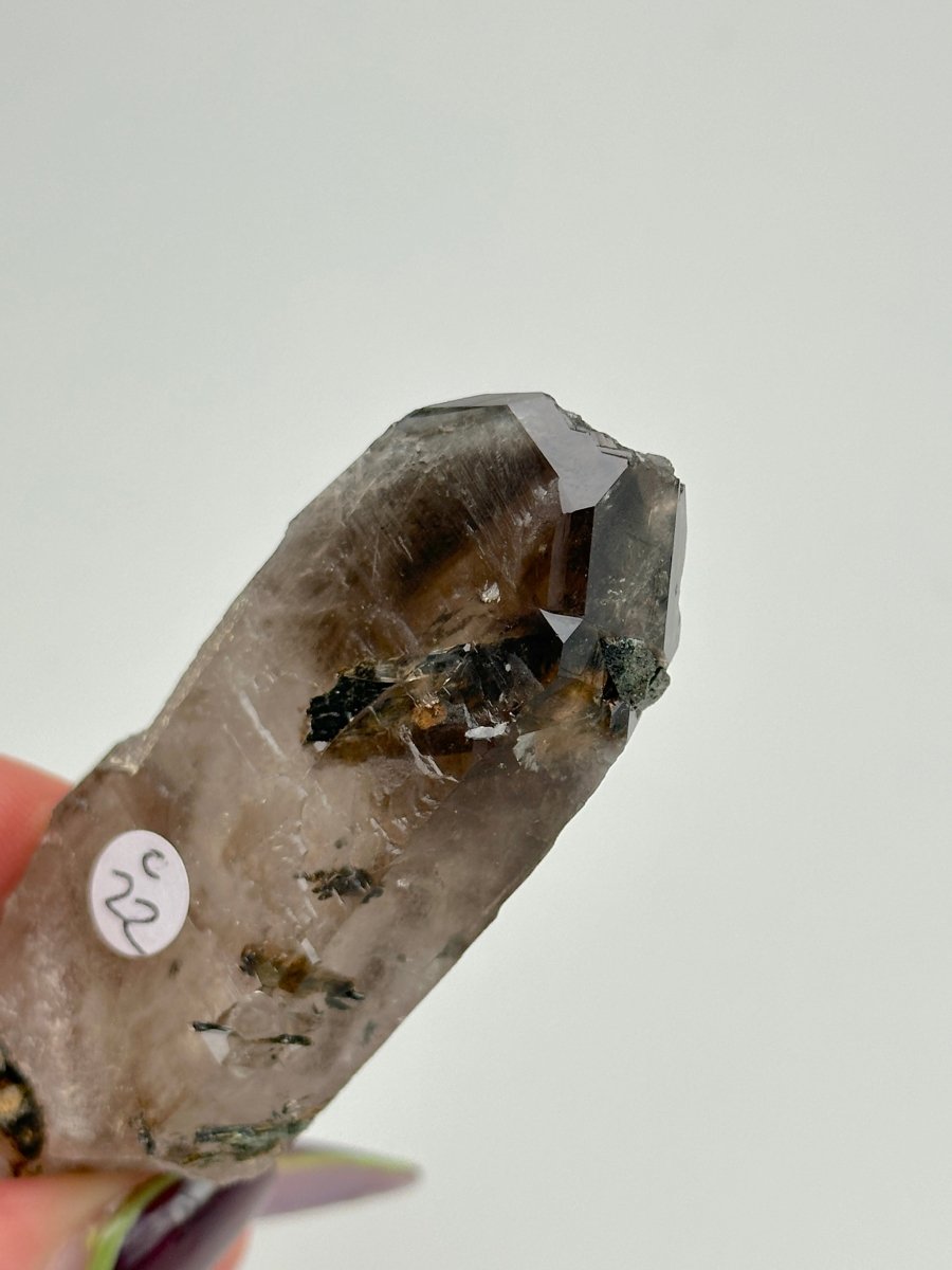Zomba Smoky Quartz, Malawi, C Smoky QuartzSouth Africa - Haus of Moss + Moon