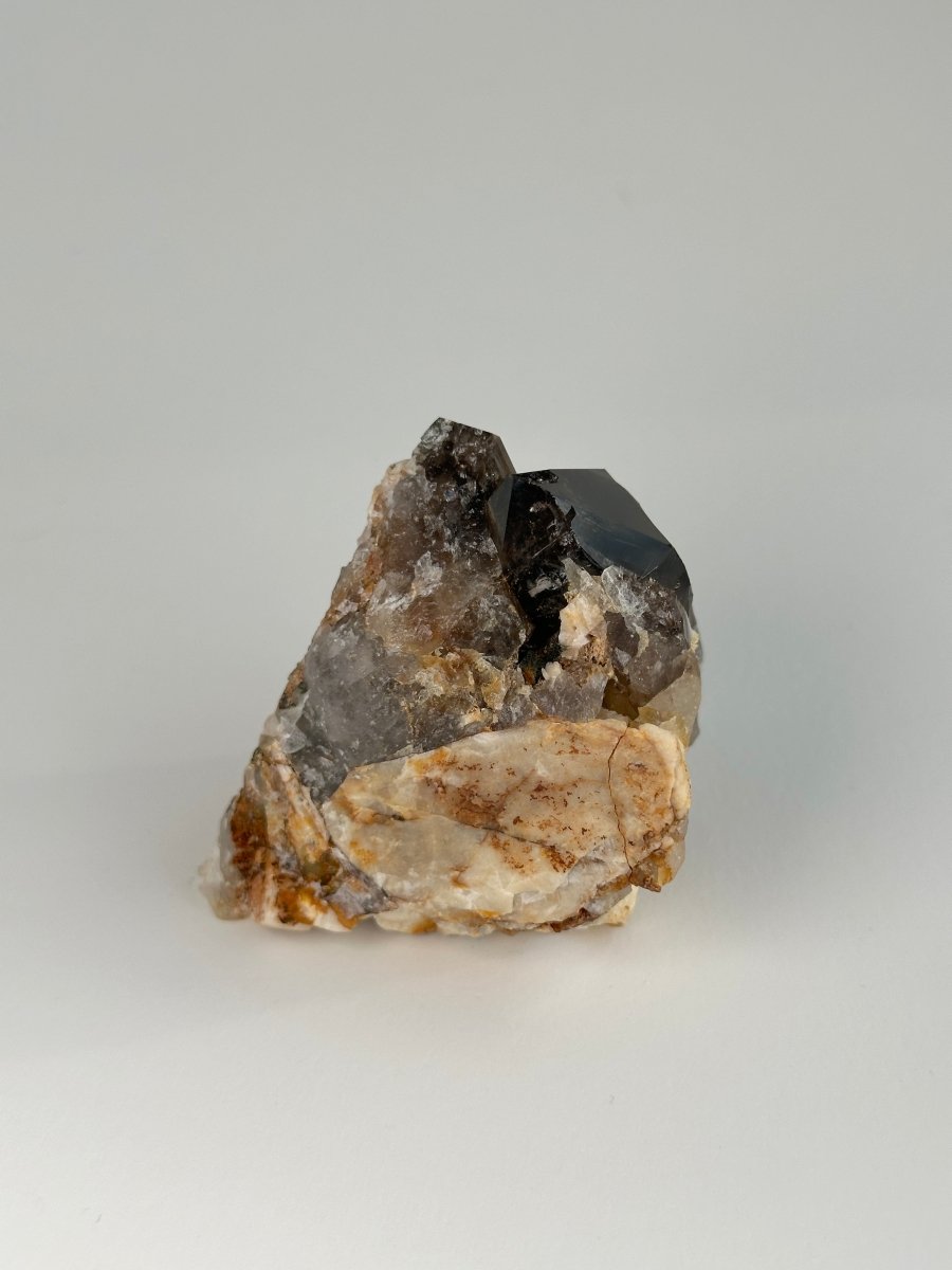 Zomba Smoky Quartz, Malawi, F Smoky QuartzSouth Africa - Haus of Moss + Moon