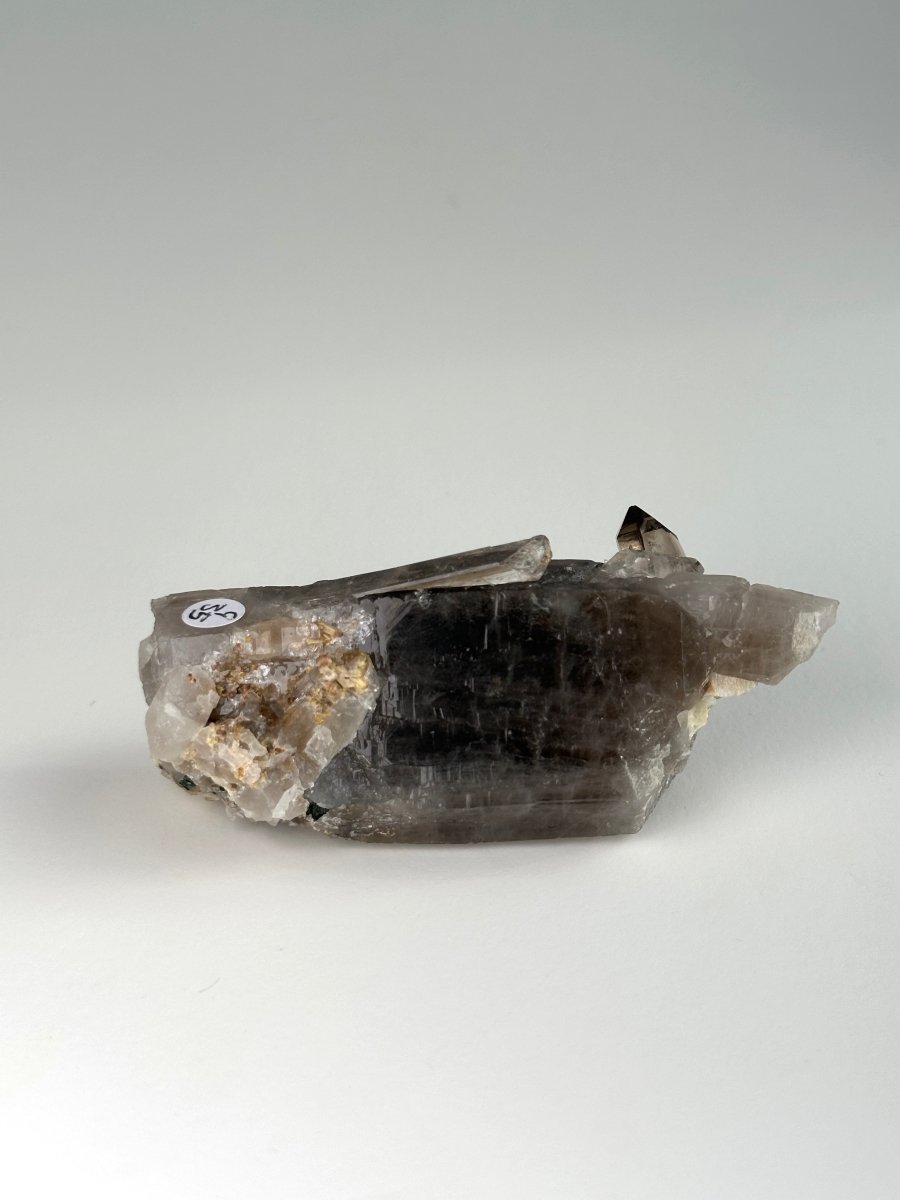 Zomba Smoky Quartz, Malawi, G Smoky QuartzSouth Africa - Haus of Moss + Moon