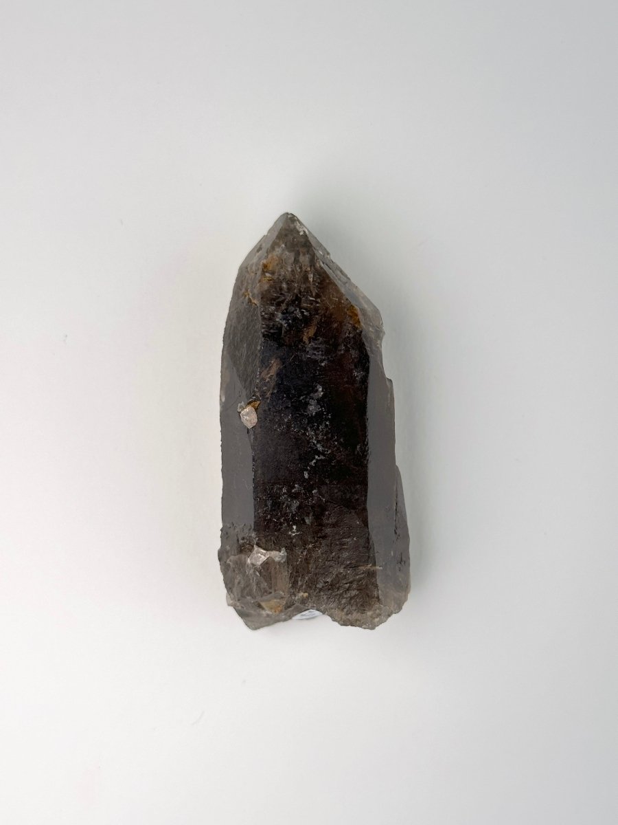 Zomba Smoky Quartz, Malawi, H Smoky QuartzSouth Africa - Haus of Moss + Moon