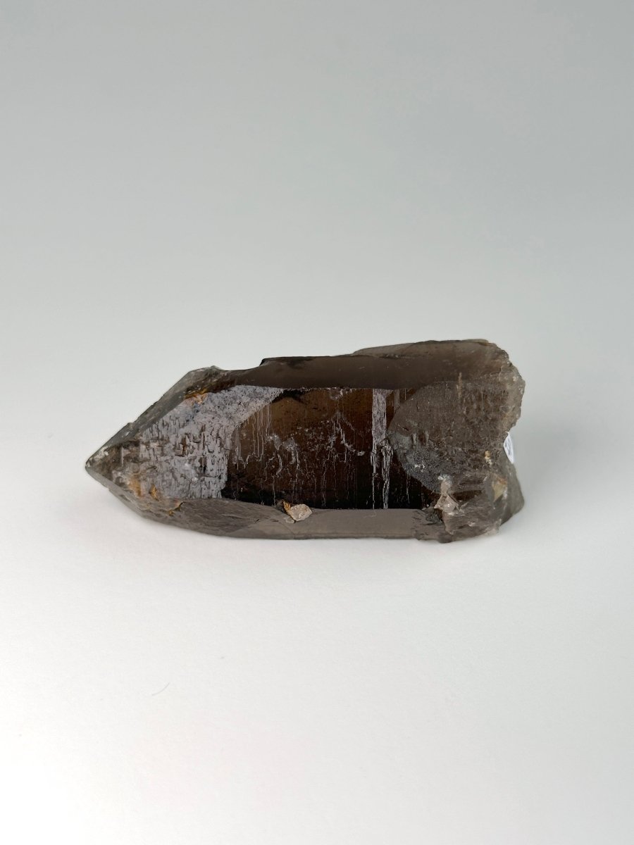 Zomba Smoky Quartz, Malawi, H Smoky QuartzSouth Africa - Haus of Moss + Moon