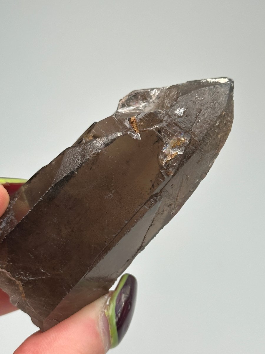 Zomba Smoky Quartz, Malawi, H Smoky QuartzSouth Africa - Haus of Moss + Moon