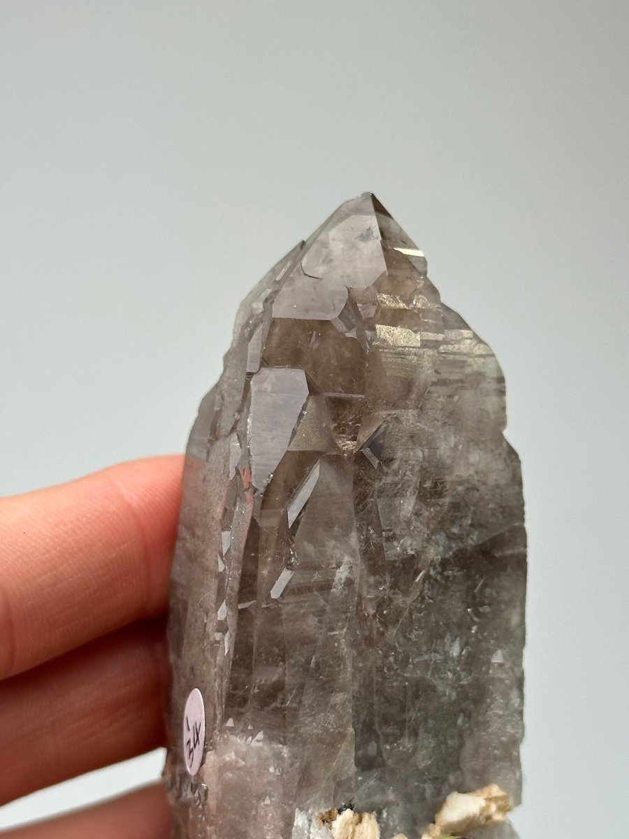 Zomba Smoky Quartz, Malawi, I Smoky QuartzSouth Africa - Haus of Moss + Moon