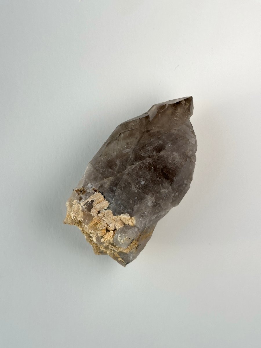 Zomba Smoky Quartz, Malawi, I Smoky QuartzSouth Africa - Haus of Moss + Moon