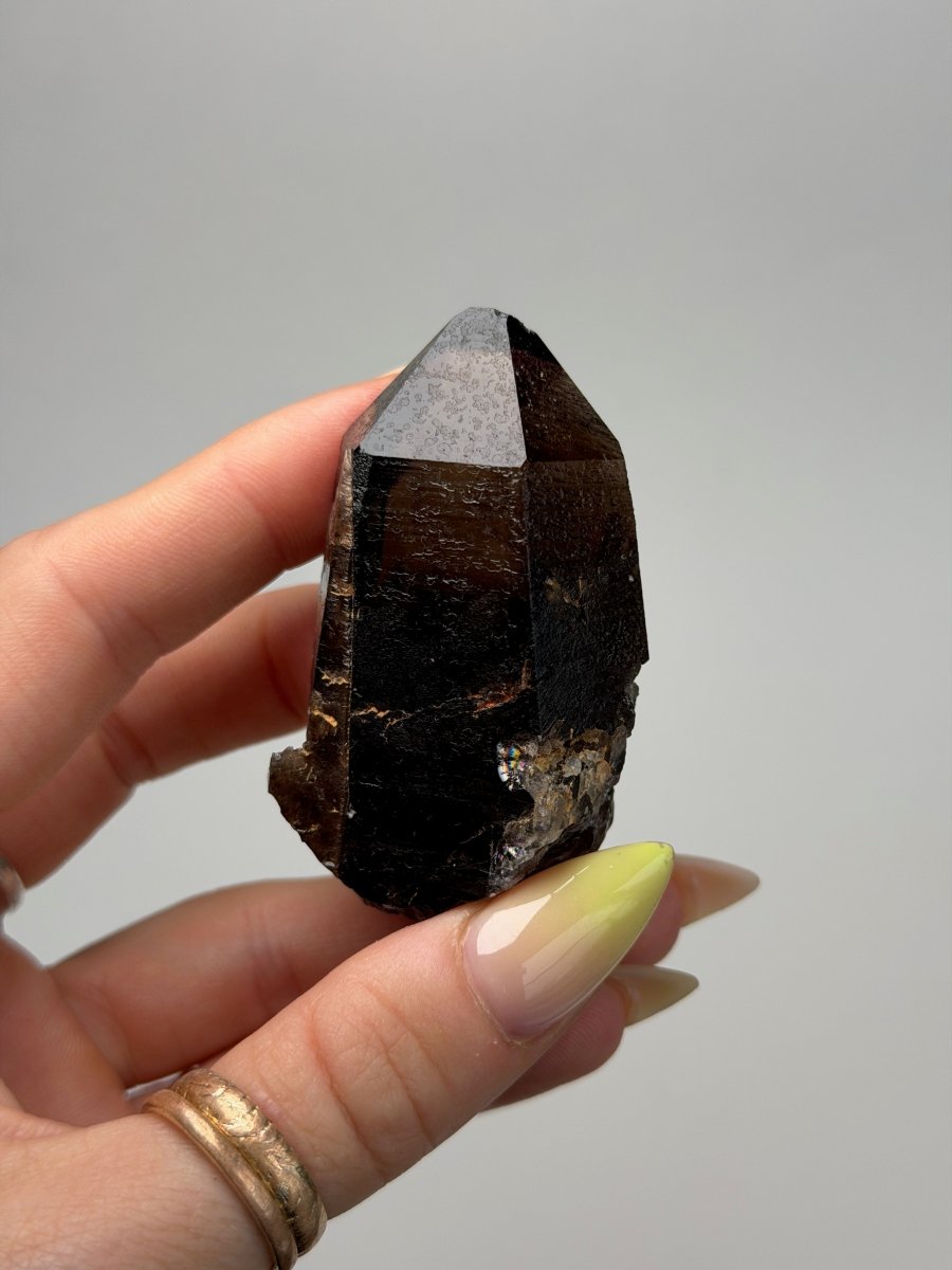 Zomba Smoky Quartz Point, Malawi, C Smoky QuartzSouth Africa - Haus of Moss + Moon